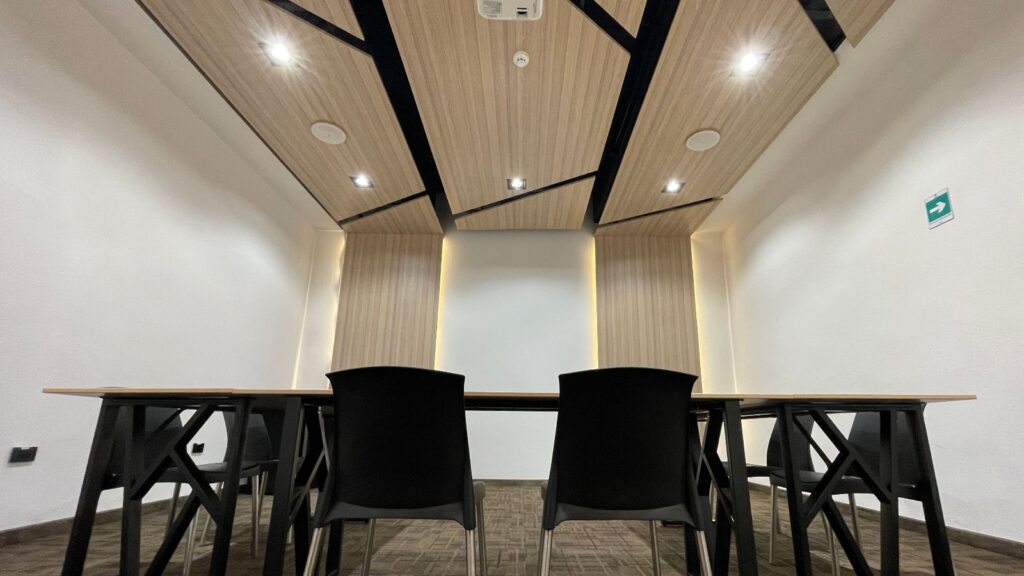 Salon Olivo 2