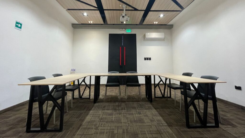 Salon Olivo 6